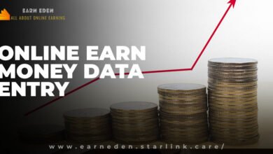 Online Earn Money with Data Entry